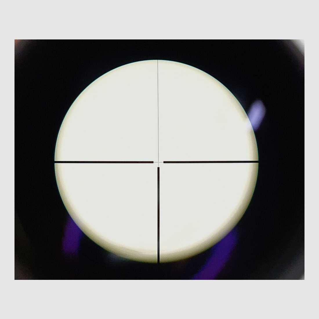 Zeiss Variables Zielfernrohr Zeiss Diavari VM 2,5-10x50 T*, Leuchtabsehen 44
