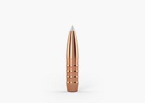 TN-Geschoss CROCKETT, 6.5mm, 135grs. (50 Stk.)