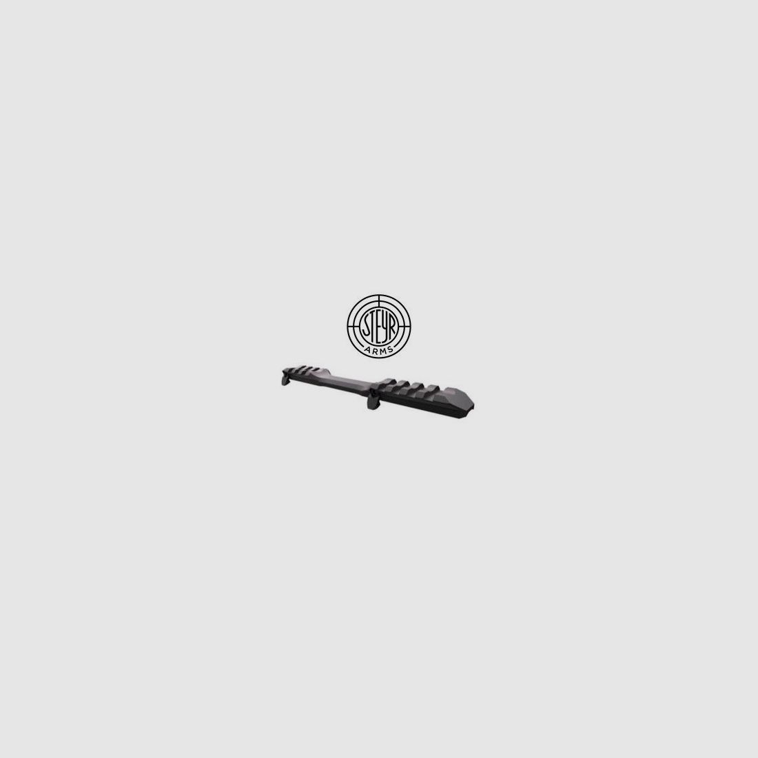 Steyr Arms Picatinny rail monobloc