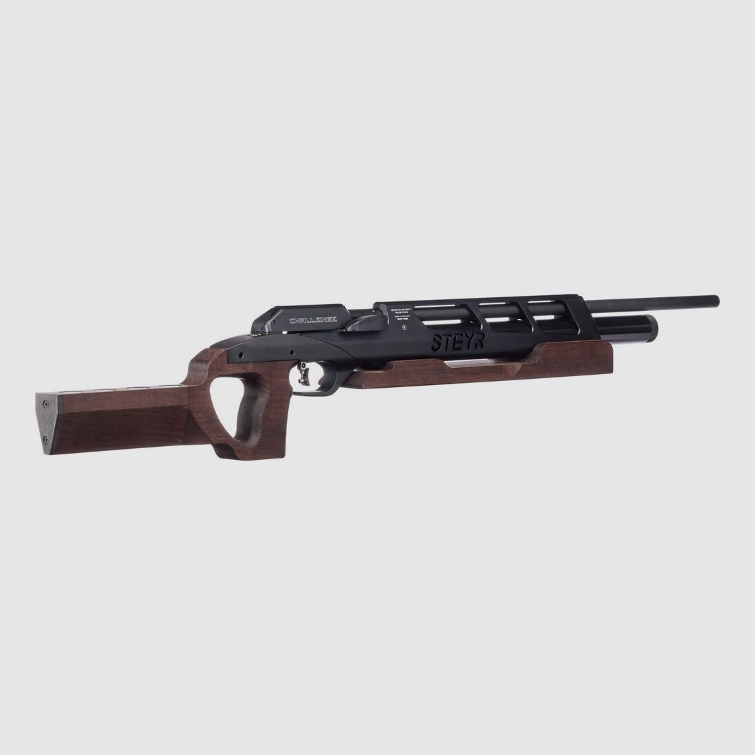 Steyr Sport Luftgewehr Challenge BR 25, Bild 5 von 5