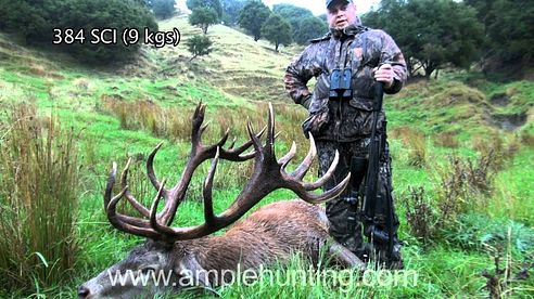 Hunting New Zealand - Ample Hunting Red Stag