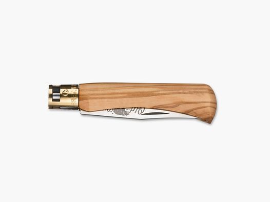 Antonini Old Bear M Olive