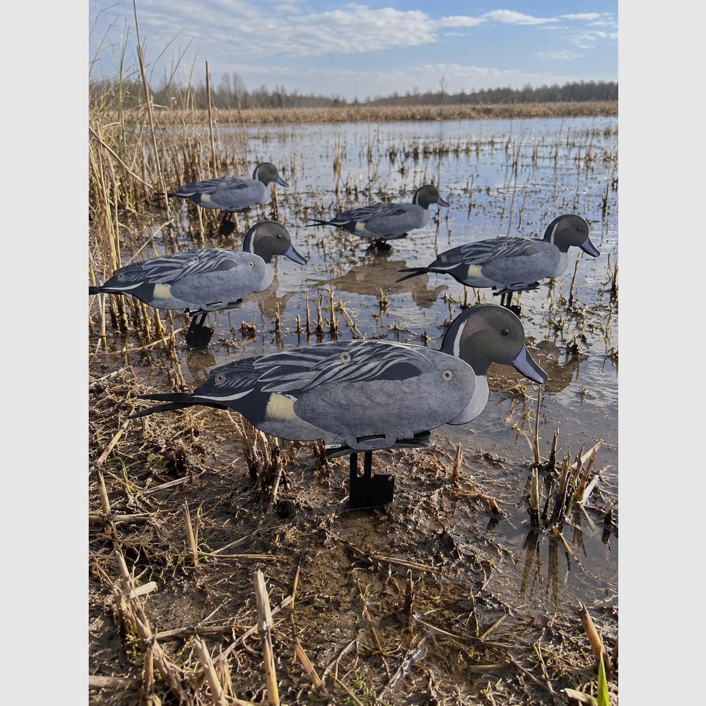 NRA FUD Northern Shoveler 6 sztuk + GOLD-RACE 7,5 ml - Lotto, zdjęcie 8 z 9