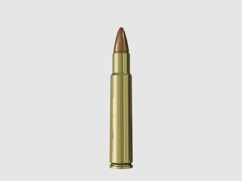SAX KJG-BCS .416 Rigby 19g, image 2 sur 2