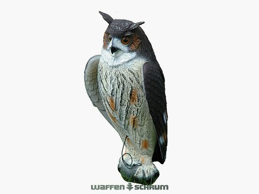 Barn owl with movable wings