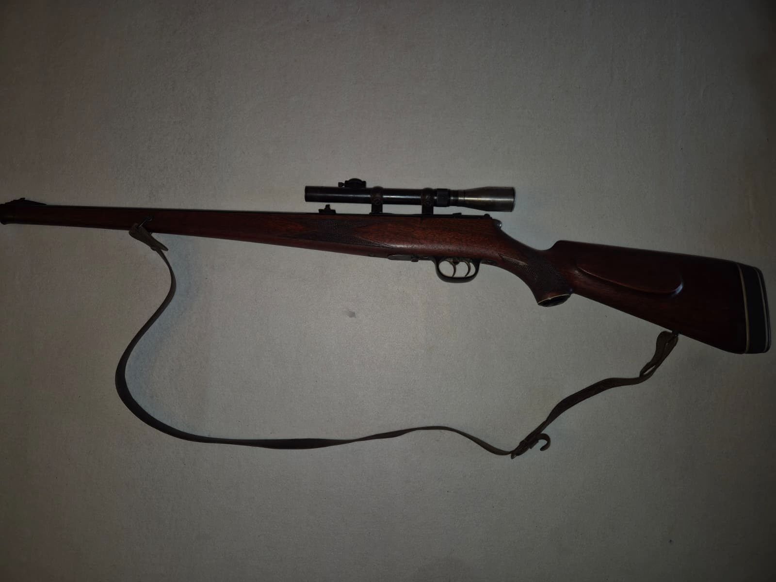 small caliber rifle