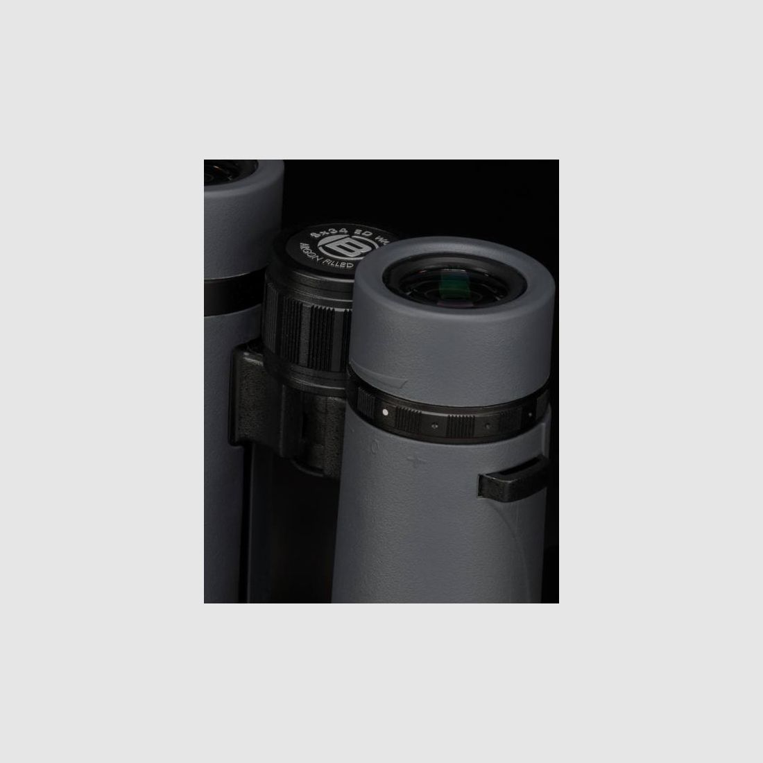 BRESSER 1721035 Pirsch ED 10x34 binoculars phase coating with case and strap