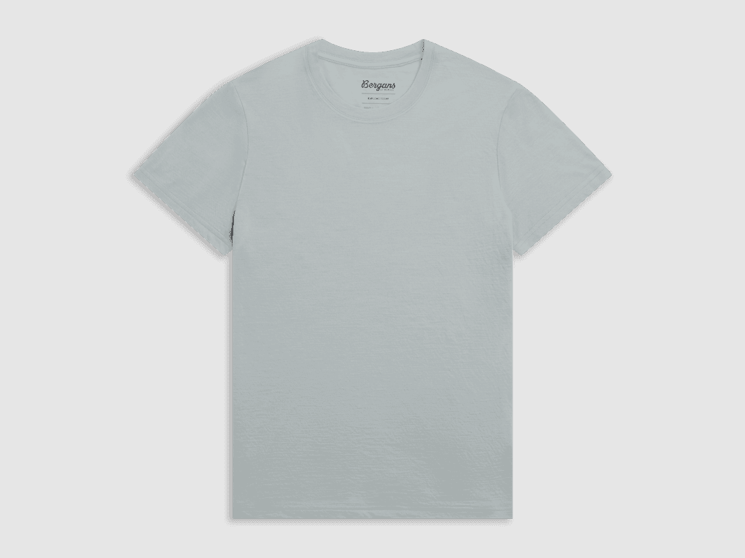 Bergans Merino Light Tee Women Dried Sage L