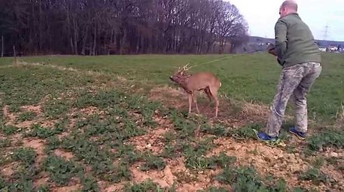 Rehbockrettung - Jäger hilft Wild in der Not