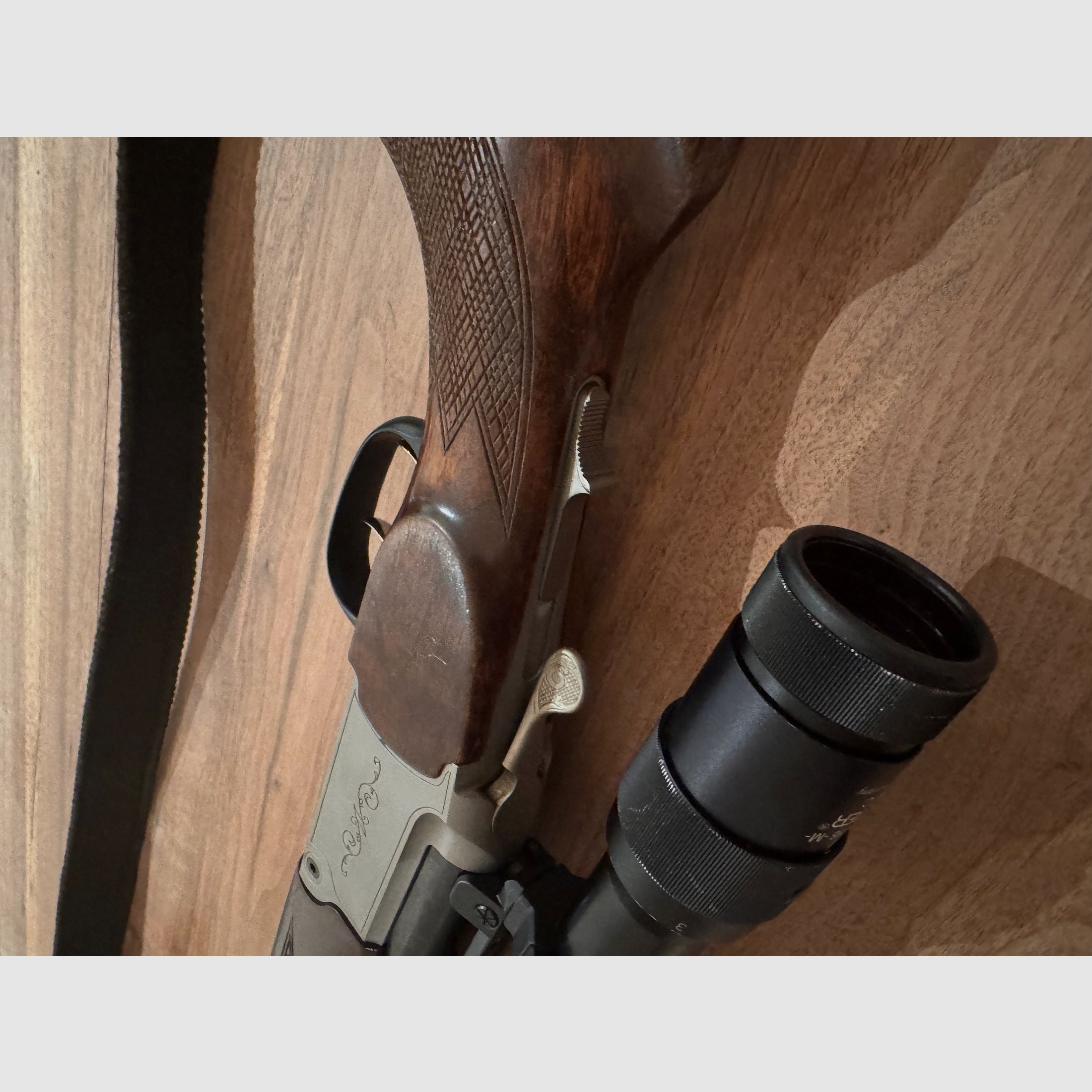 Bockbüchsflinte | Frankonia Favorit | CZ BRNO | Kal. 12 und 7x65 R | Docter 3-12x56 | Blaser Sattelmontage