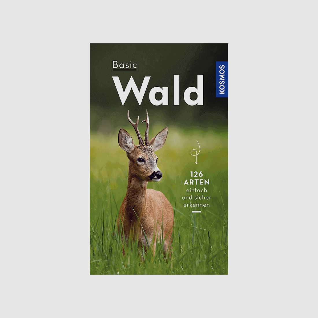 Buch "Basic Wald"