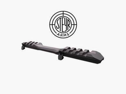 Steyr Arms Picatinny rail monobloc