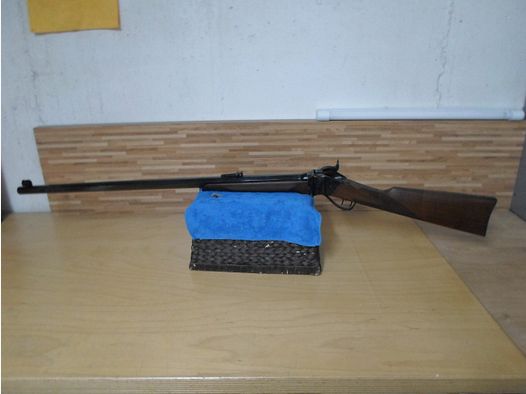 Pedersoli Sharps Sporting    45-70