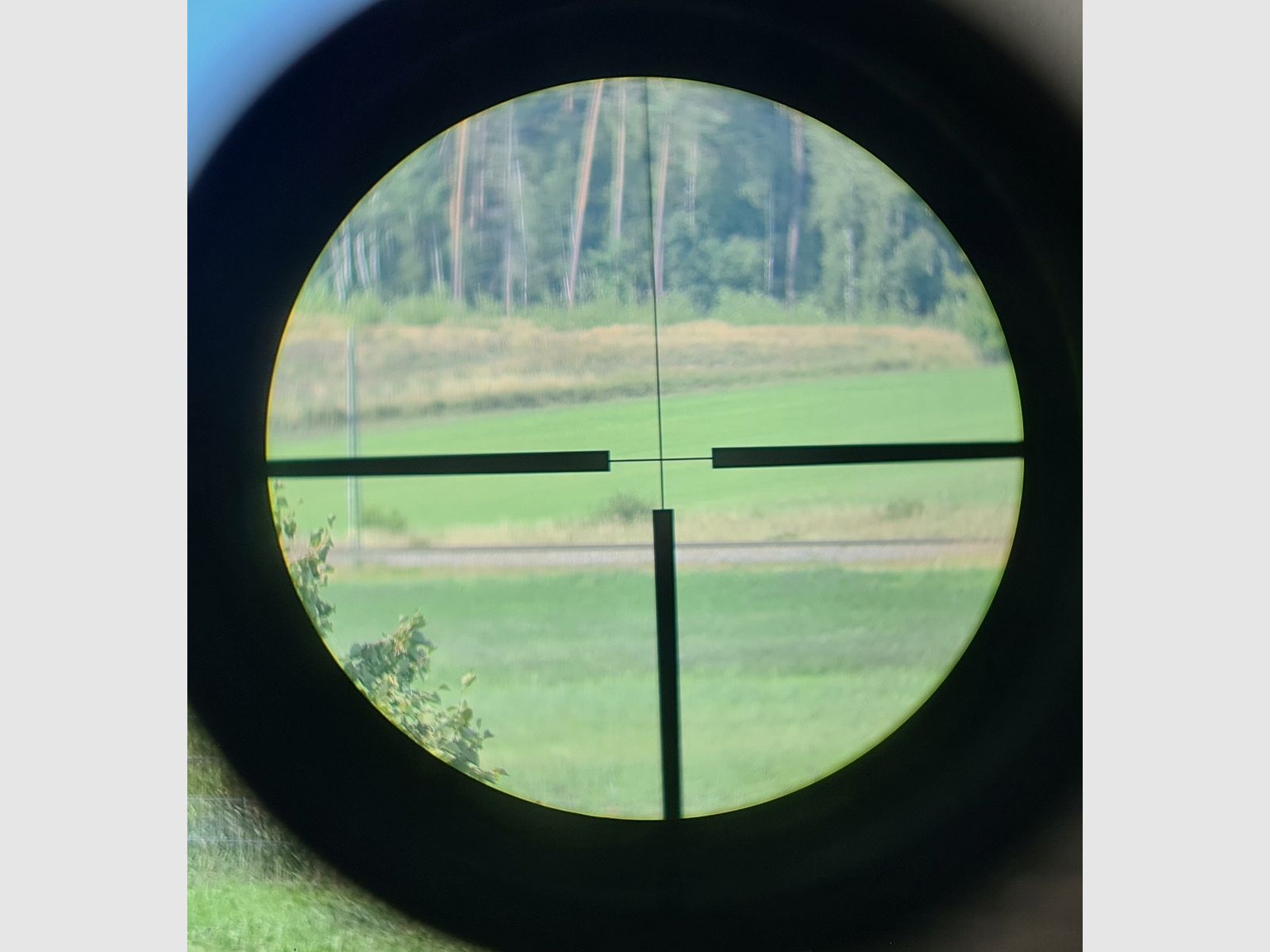 Fucile a ripetizione Mannlicher Schönauer Steyr 1952 GK in 7x64 incluso ZEISS ZF