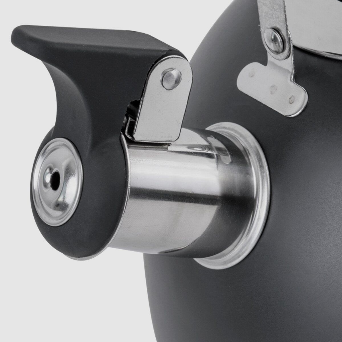 Dayo Black NG Whistle Kettle, image 2 of 2
