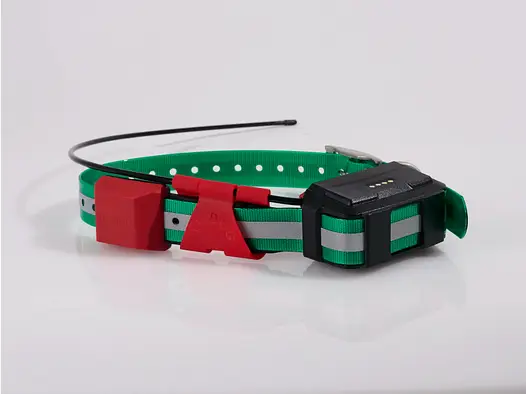 GPS Collar TR-DOG R-60