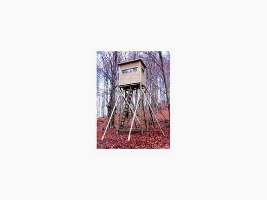 Altana ME aus Holz Alpen Maxi