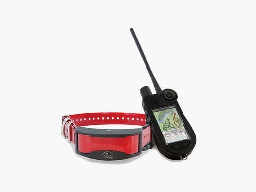 KIT SPORTDOG TEK 2.0 PORTABLE + COLLAR