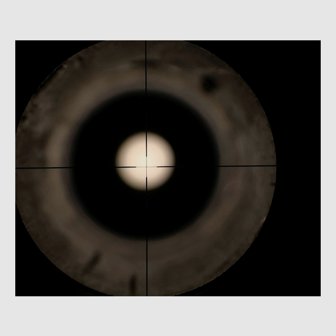 Frankonia Match (Heym)