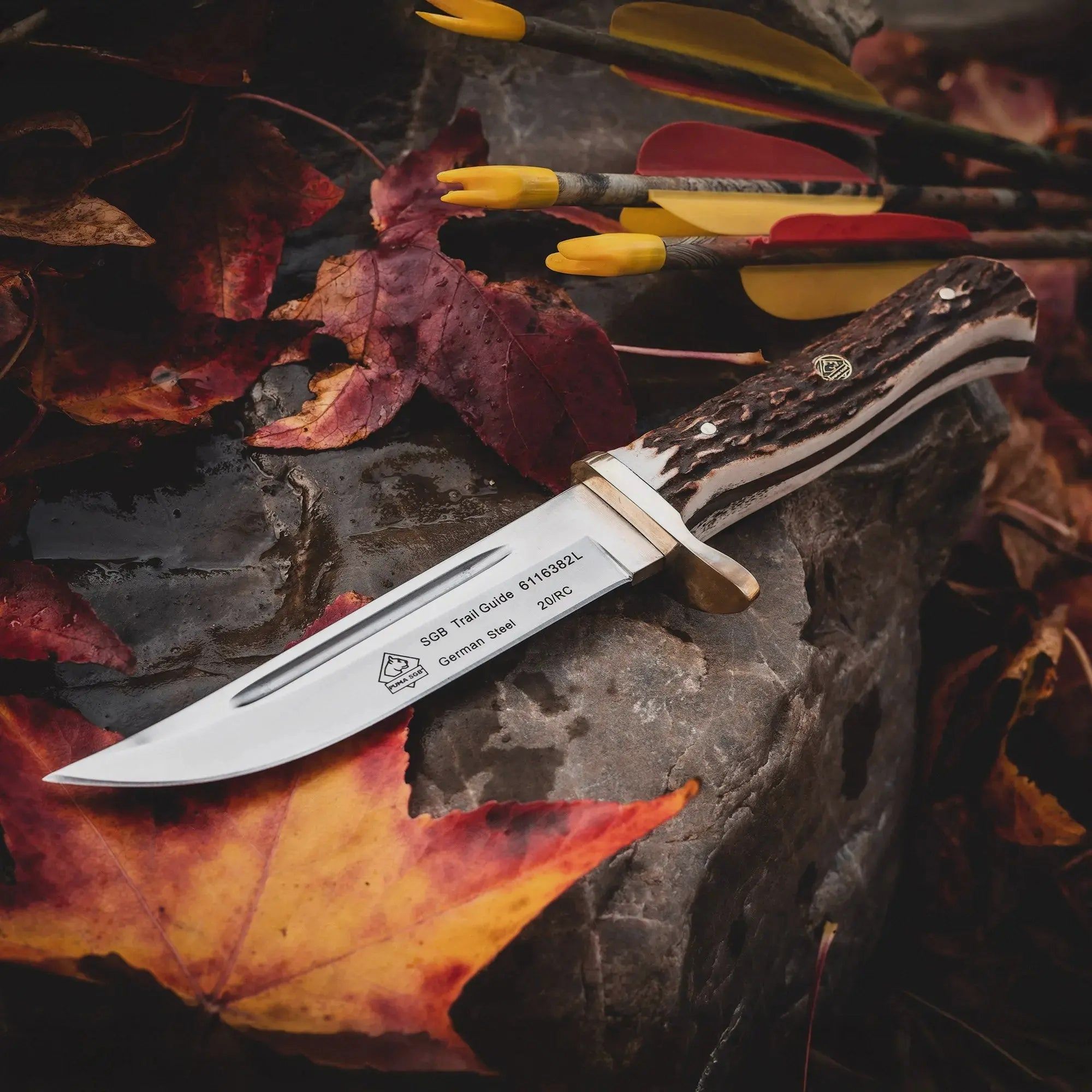 PUMA SGB trail guide, Stag