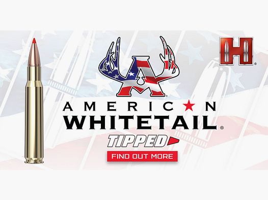 HORNADY AWT 243 WIN 95 GR SST (20M200)