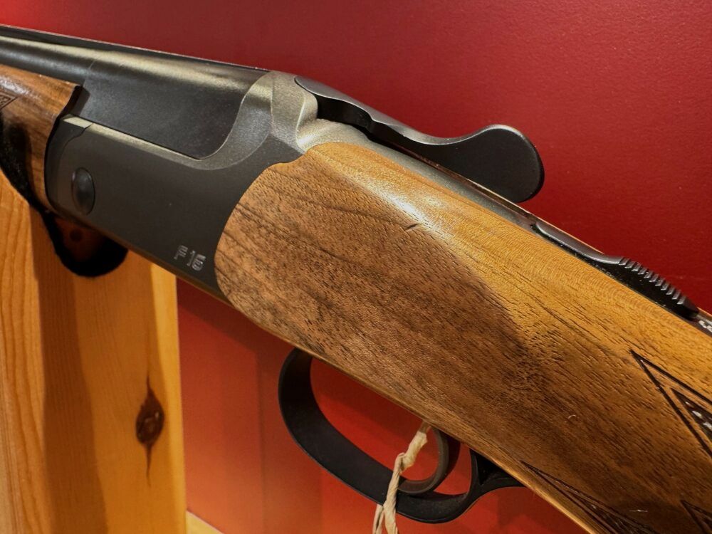 Blaser F16 Game