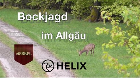 Bockjagd im Allgäu - Stalking roebucks in Bavaria