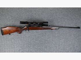 Sauer 80 6,5X68 - 3-12X56 Níquel