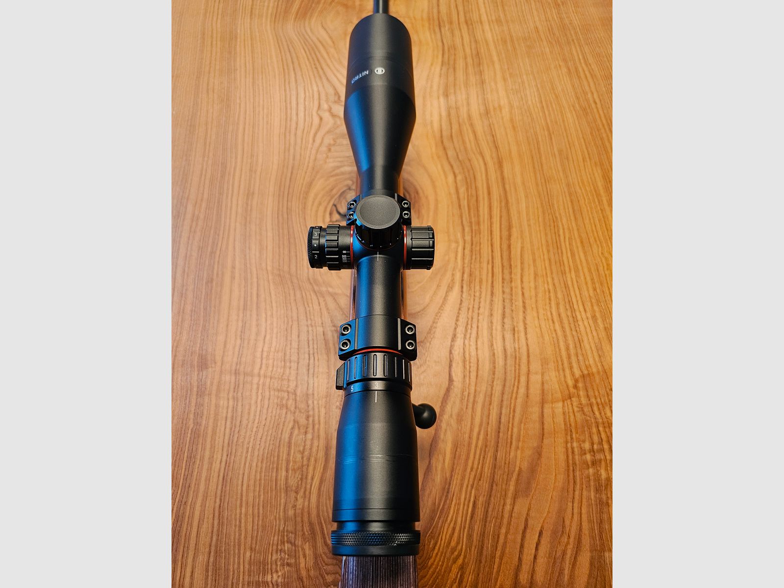CZ 455 Varmit Thumbhole .17 HMR with Bushnell Nitro 3-18×56