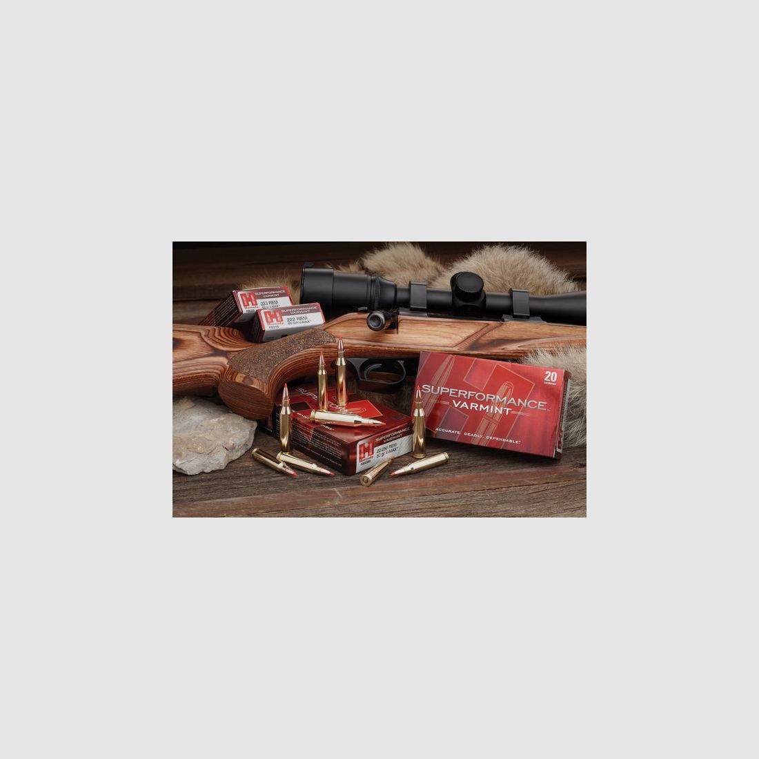 HORNADY SUPERFORMANCE SST Munition Kaliber 243Win 95Gr, Bild 3 von 5