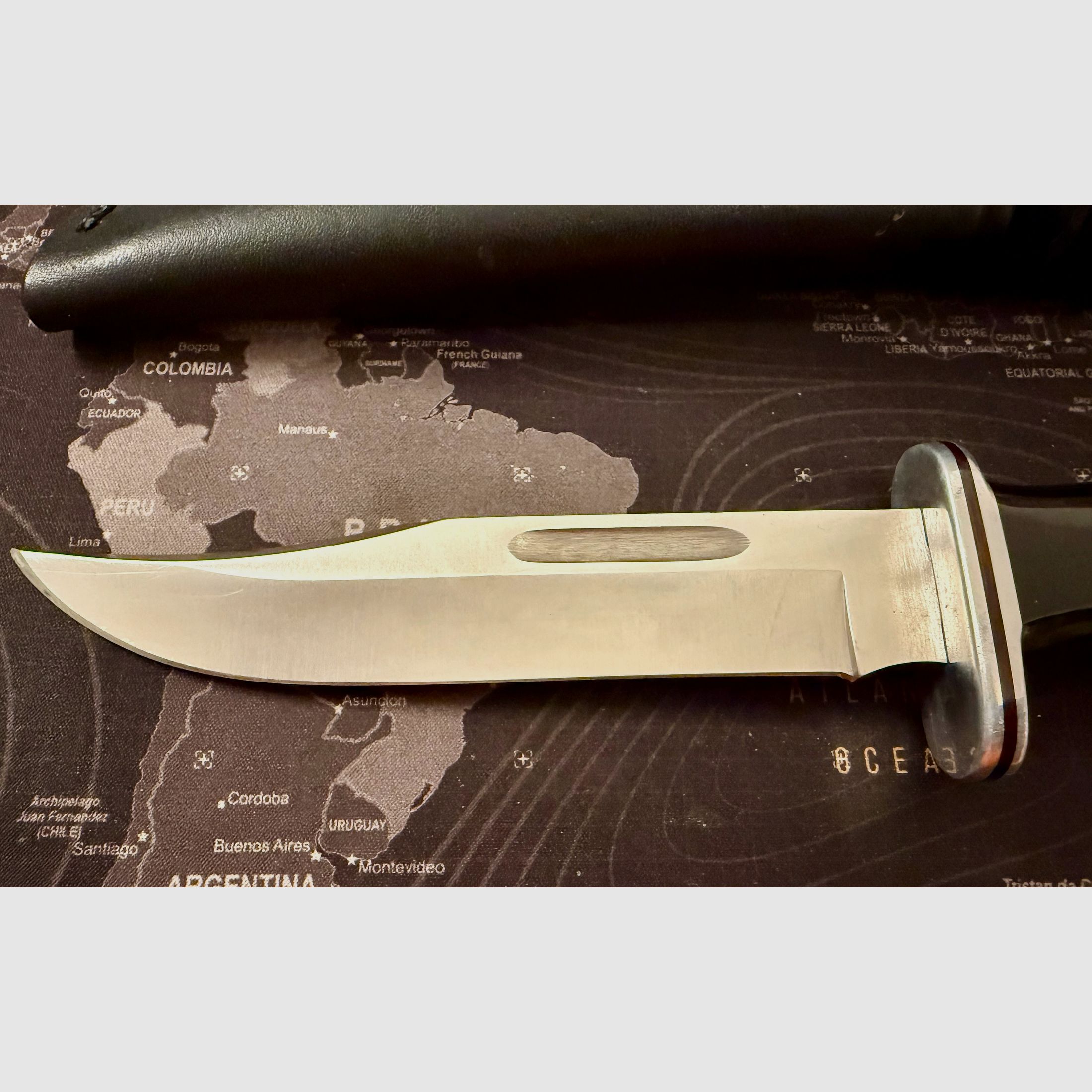 Buck 119 Bowie Messer Outdoor