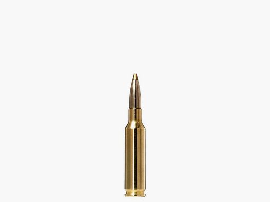 Norma Ammo 6.5 Creedmoor Evostrike 6 g / 93 gr VE20
