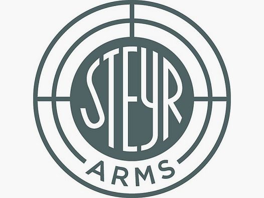 Pistola STEYR Arms, ATD Compact Comp