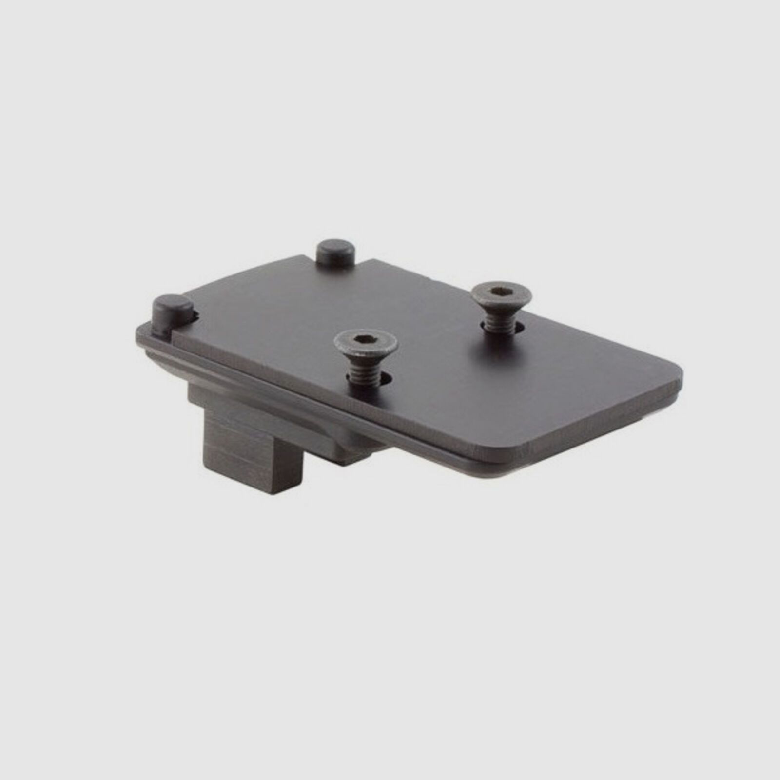 Trijicon RMR/SRO Mount Custom Rifle