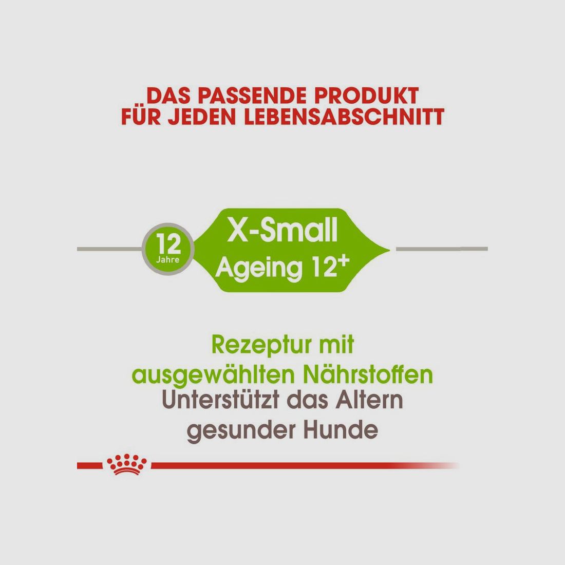 ROYAL CANIN Ältere Sehr Kleine Hunde Trockenfutter X-Small Ageing 12+ 1,5 Kg