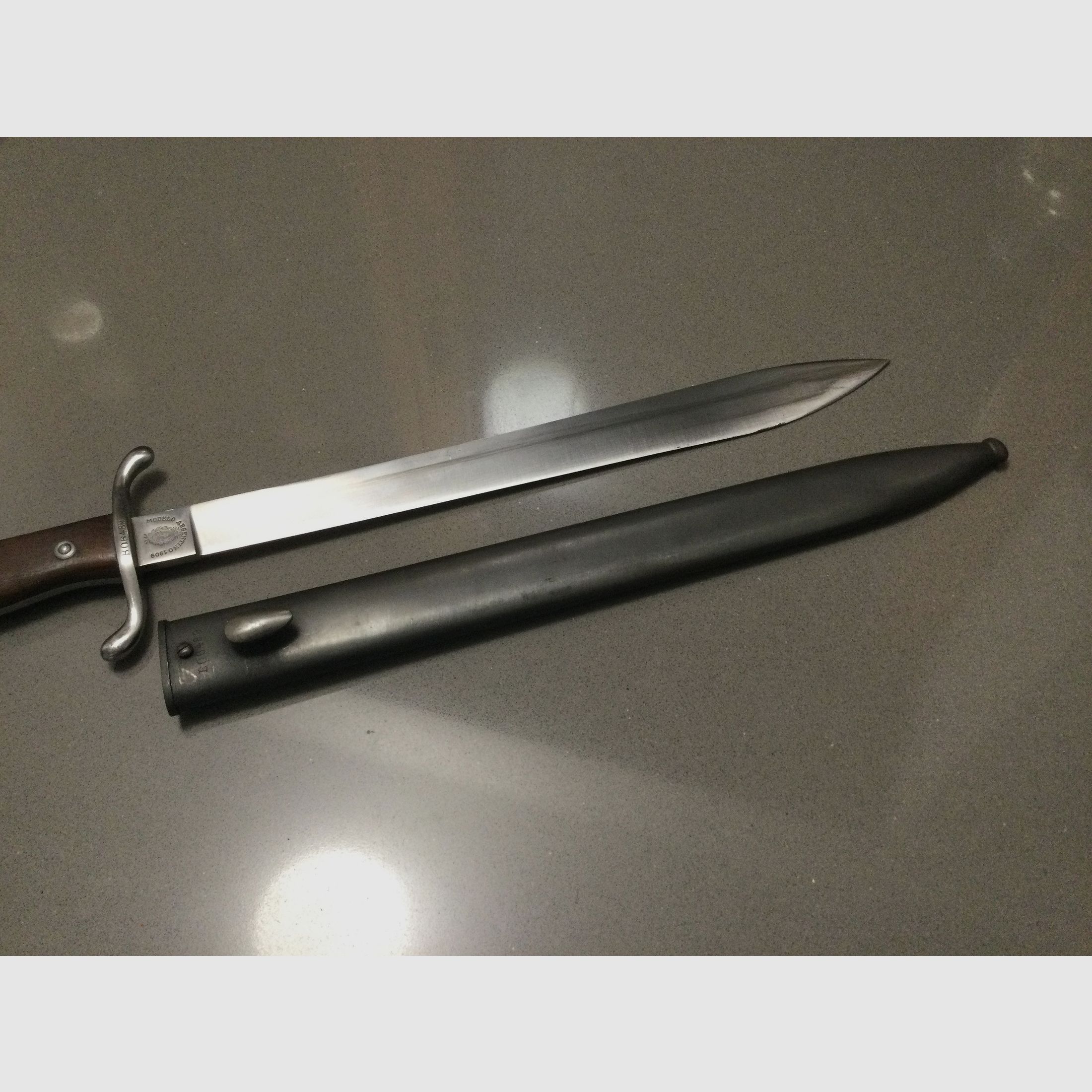 Bayonet, 1909, Modelo Argentino, nummerngleich, Stahlscheide