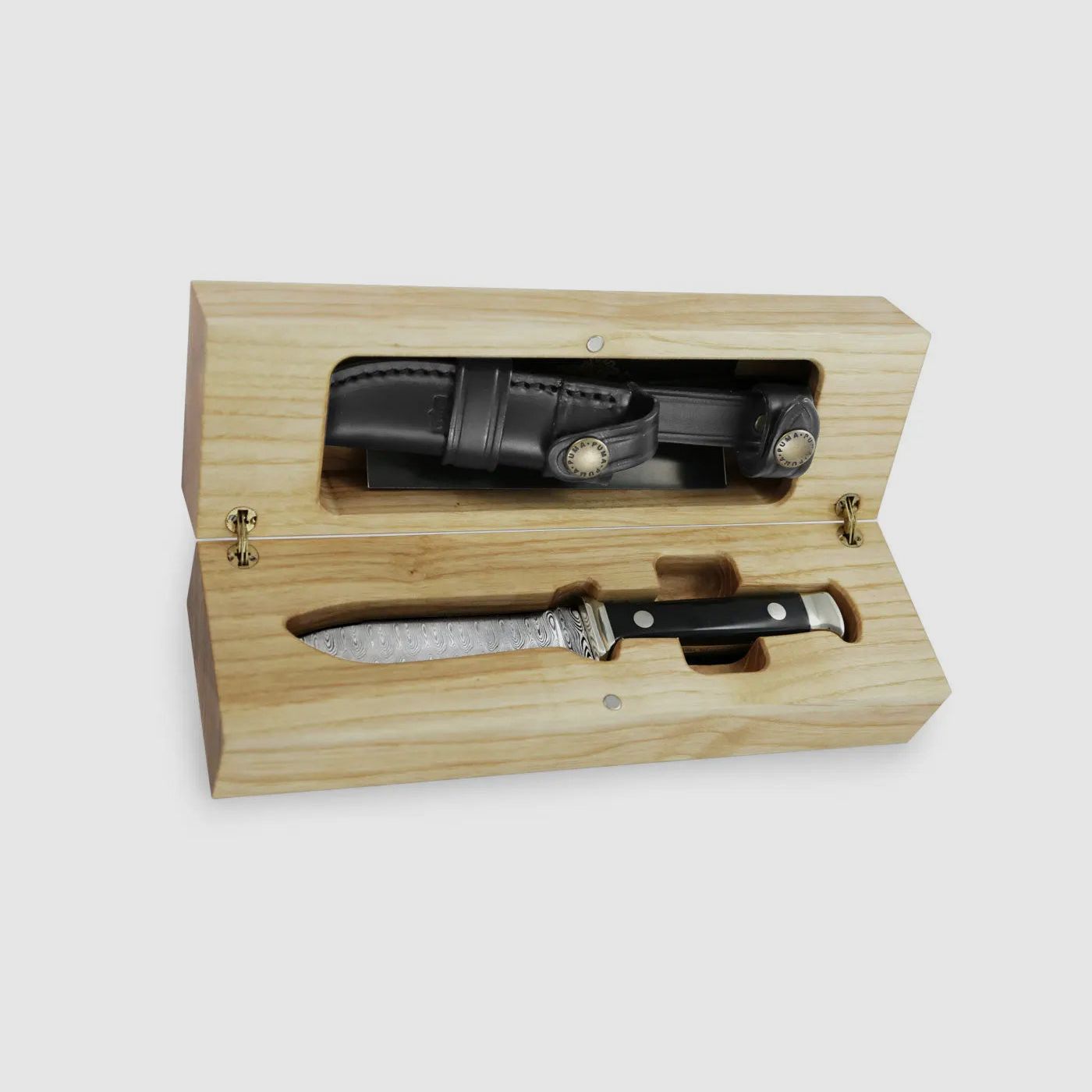 PUMA Jahresmesser 2025 Büffelhorn