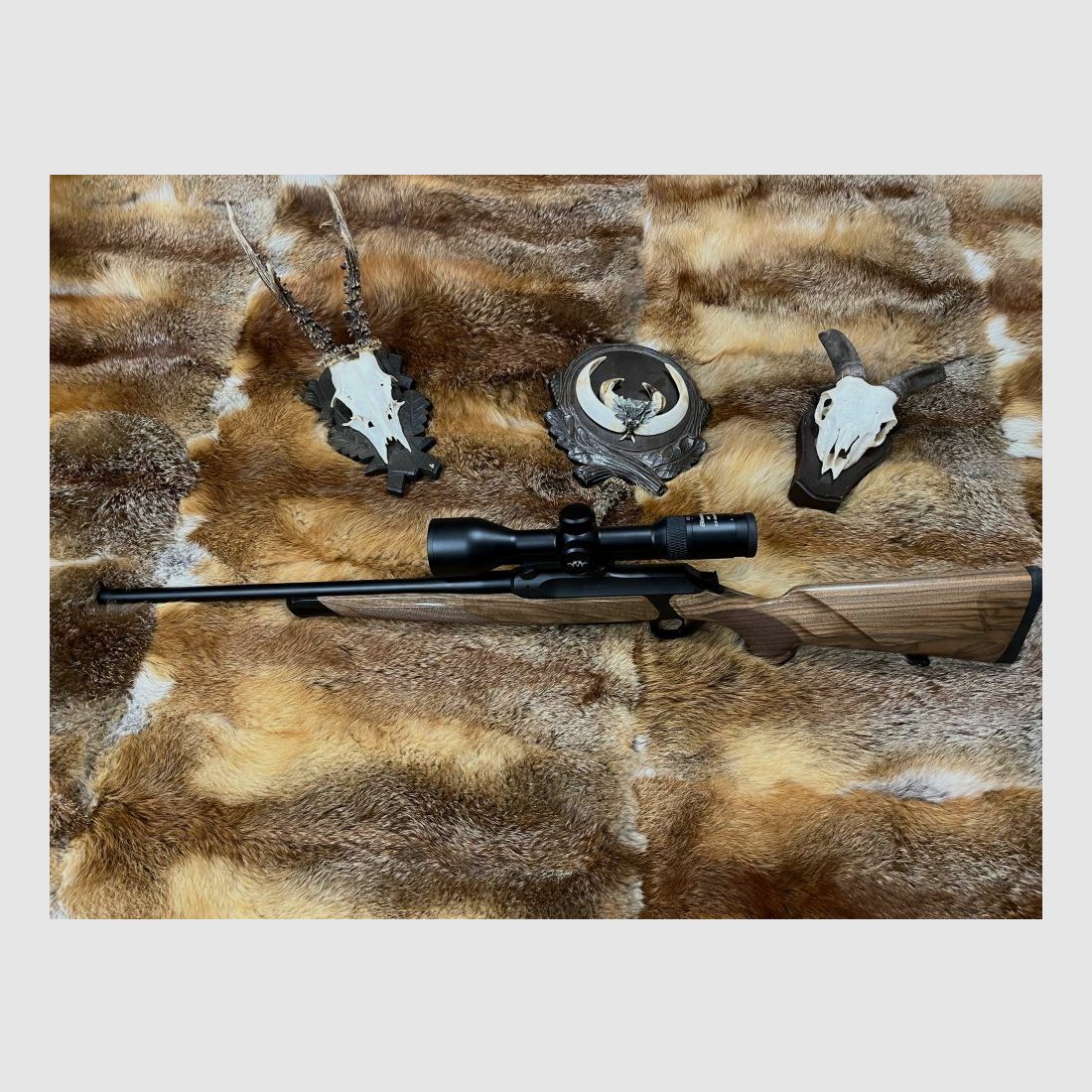 Sauer & Sohn Mod. 505