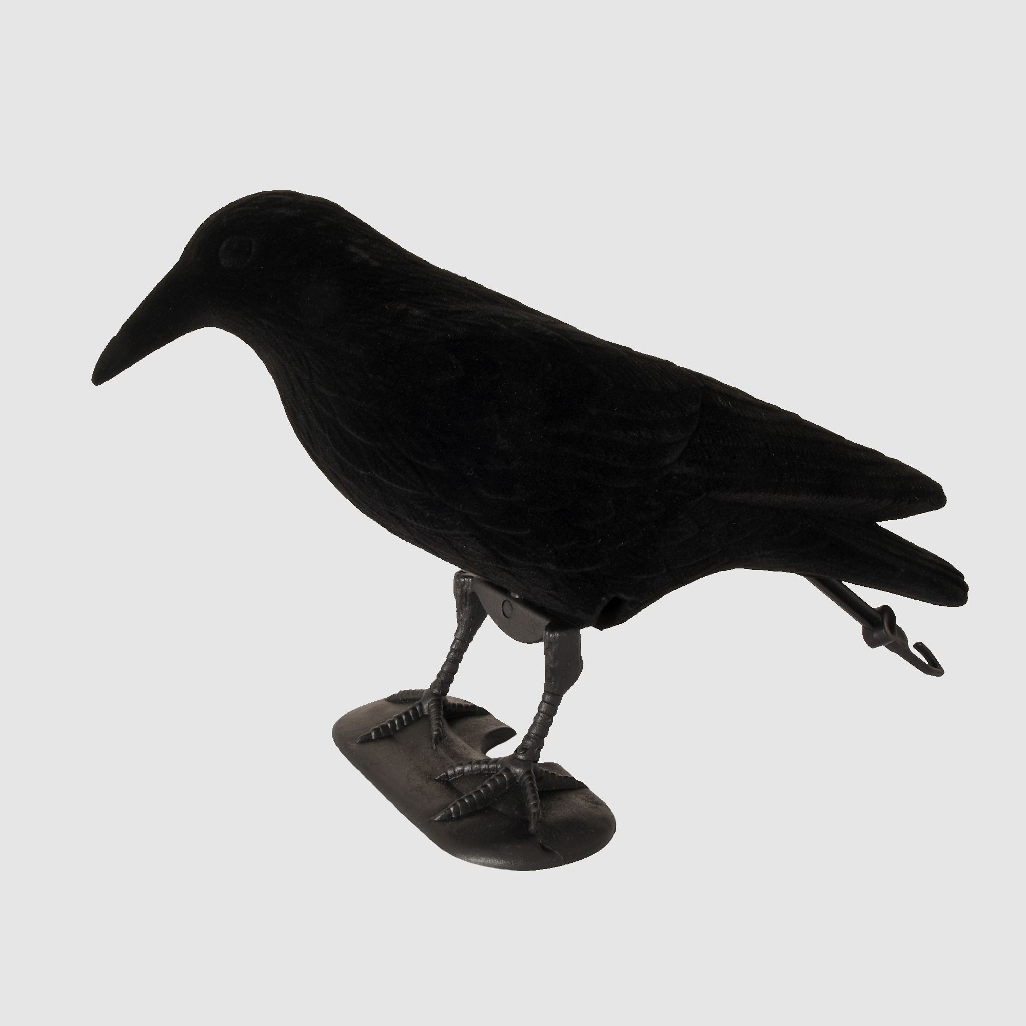 5etta Bulvan Crow Schwarz