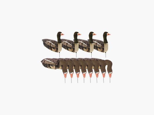 Forma manico ad aria Harvester oca x12