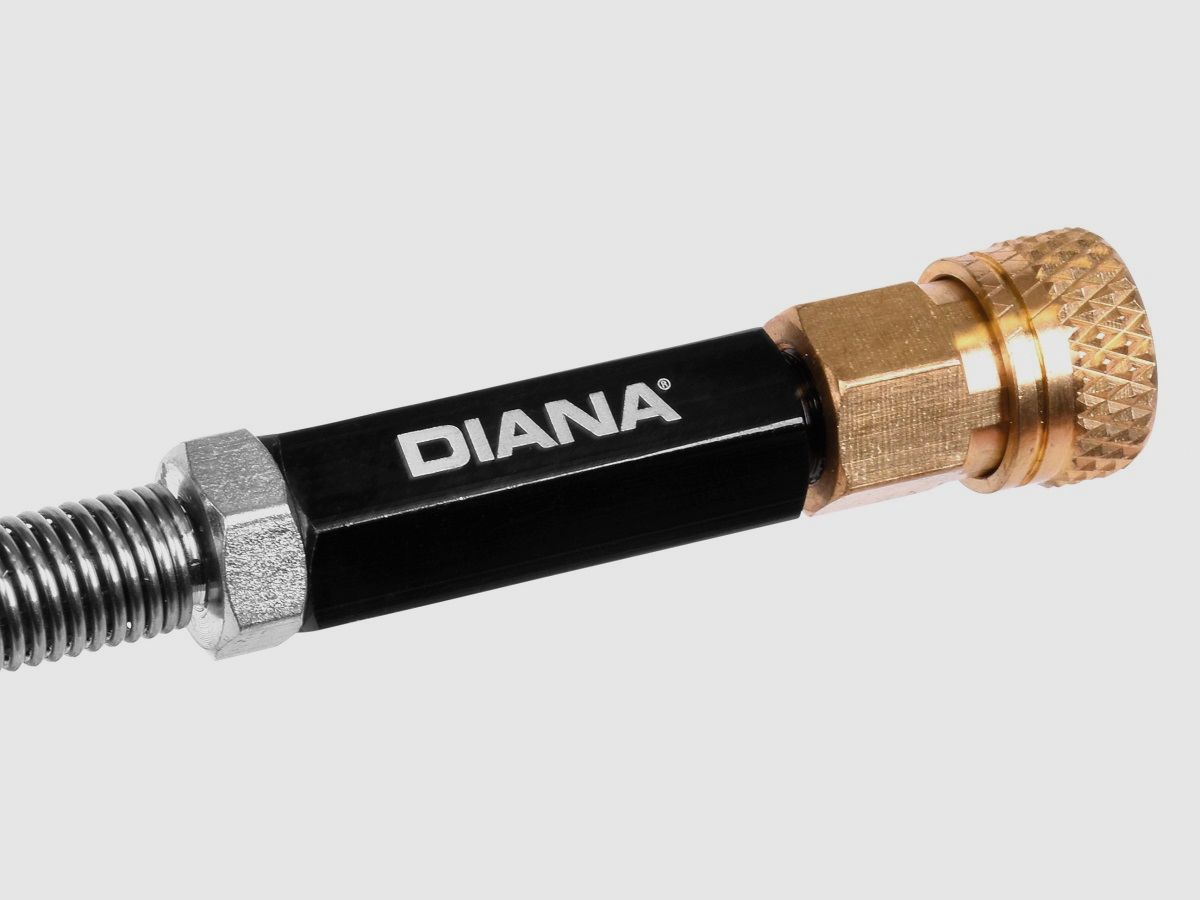 Diana Handpumpe, Bild 6 von 7