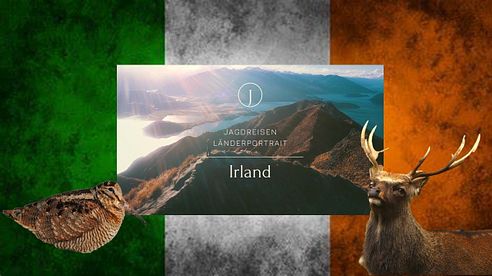 Irland - Jagdreisen Länderportrait