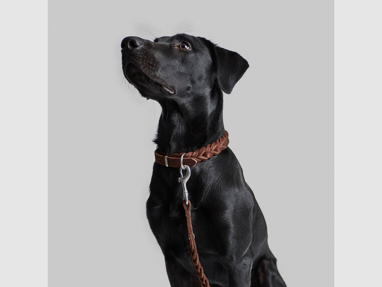 CP Brown halsband, afbeelding 5 van 5