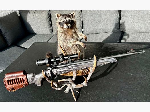 Sabatti Mercury Rover Scout G2