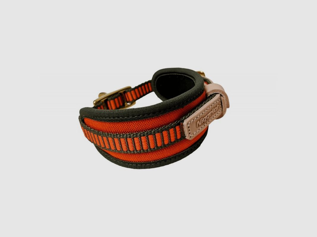 Collier de suivi Niggeloh, image 2 sur 3