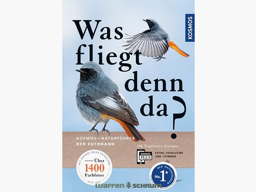 Kosmos Was fliegt denn da? Singer