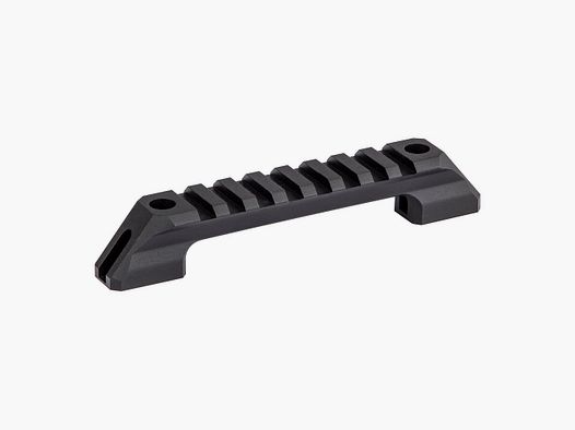 Walther Picatinny Schiene