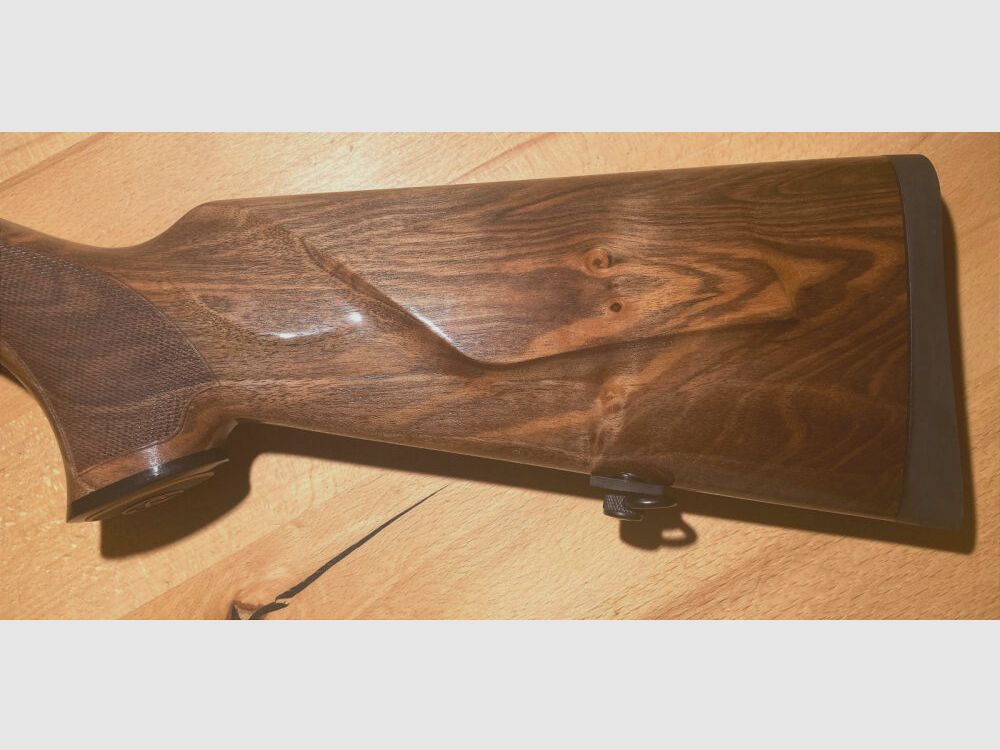 Sauer / Leica Magnus 505 Elegance ErgoLux HK3