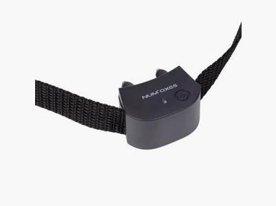 NUM’AXES EDUCATION COLLAR ADICIONAL CANIFUGUE SMALL