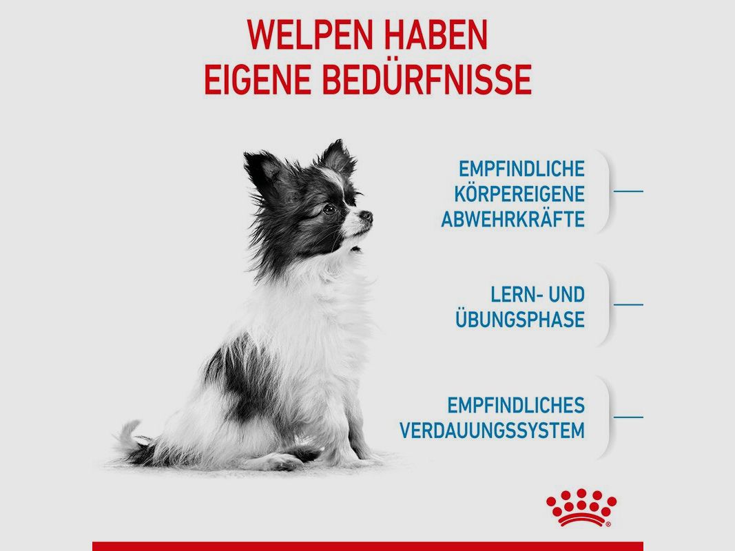 ROYAL CANIN Sehr Kleine Hunde Trockenfutter X-Small Welpen